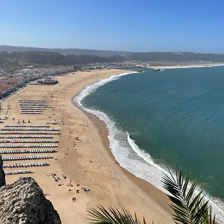Apartament Peixinho Magnifique *